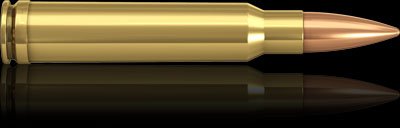 8,5x55 BLASER FMJ 14,6 g/ 225 gr