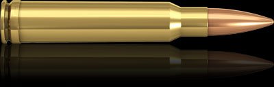 .338 Winchester Magnum FMJ 14,6g/225gr
